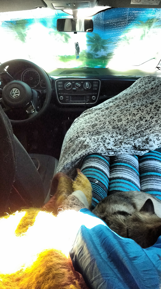 Auto Camping
