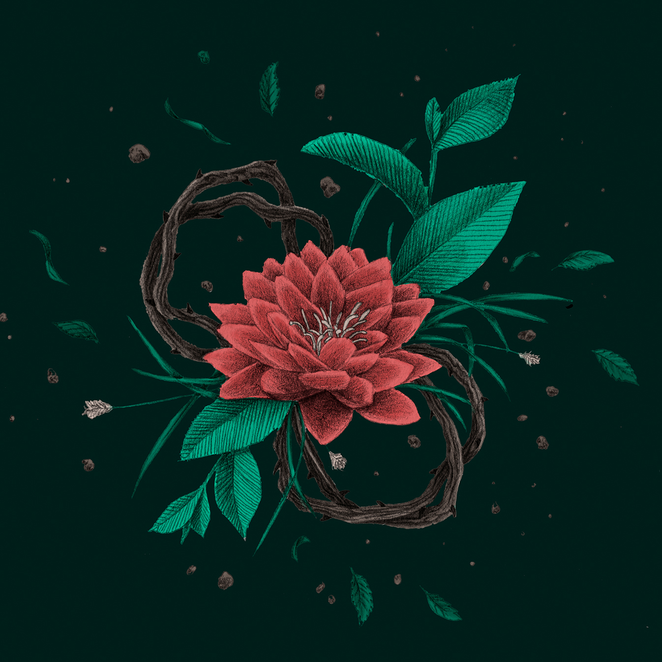 Kinderbuch Luca Muster Lotus
