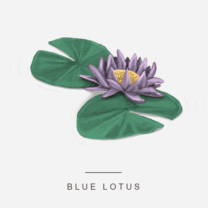 Kinderbuch Luca Blue Lotus