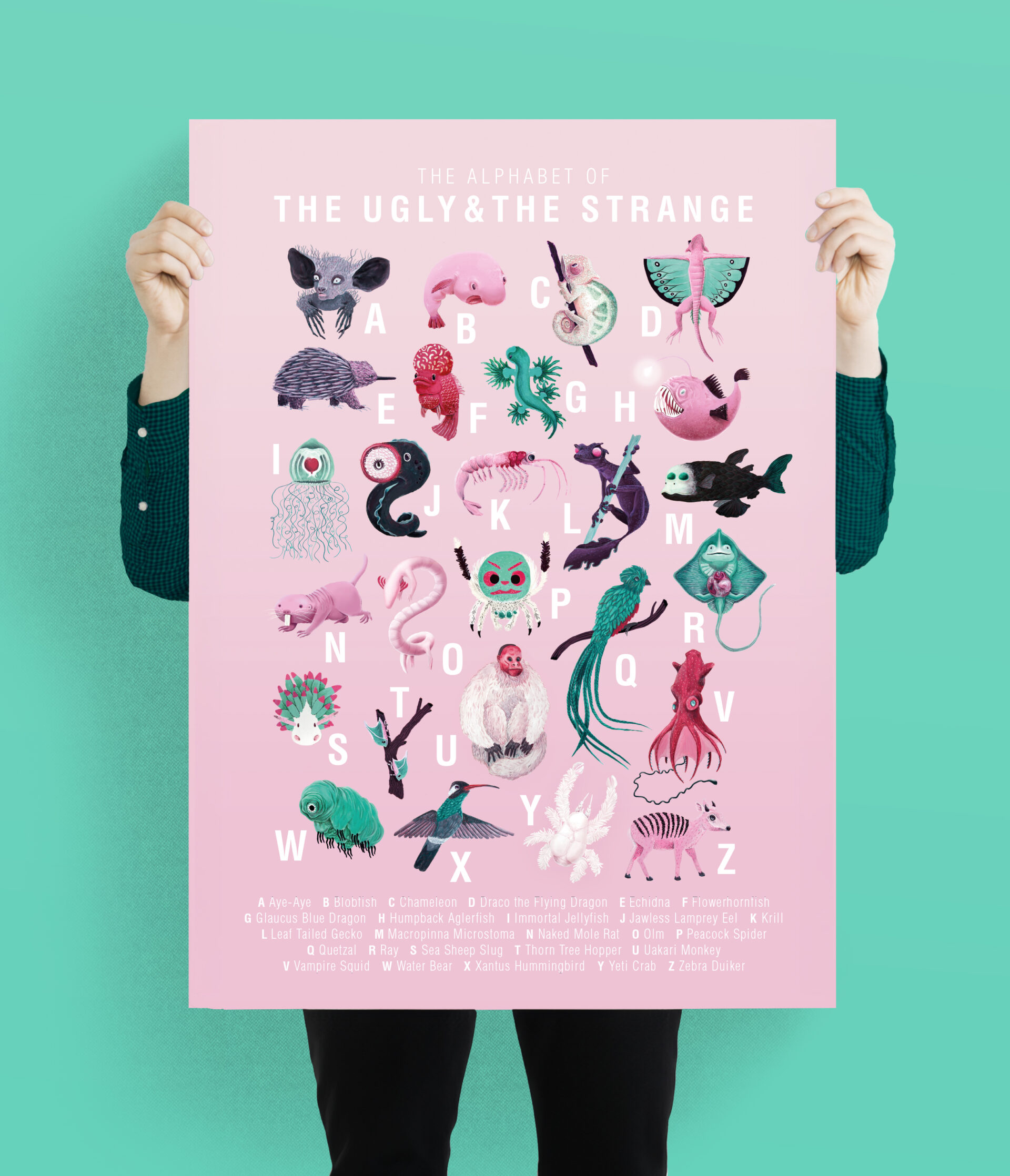 Abstrusa ABC-Poster The Ugly & The Strange