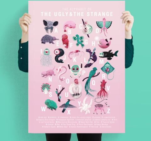 Abstrusa ABC-Poster The Ugly & The Strange